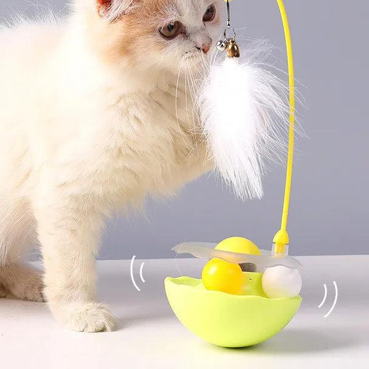 Kitten playing with the wobble feather toy